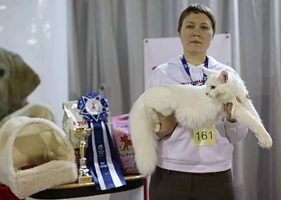 �������� ����� '���-�����-������' 22-23 ������ 2014 14-161-169A9476 copy.jpg